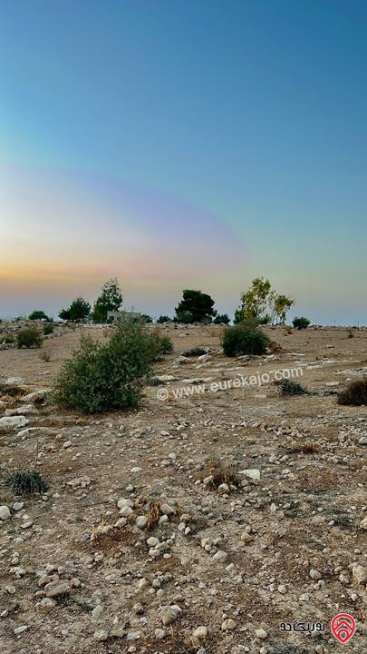 قطعة أرض مساحة 6 دونم للبيع من أراضي جنوب عمان - دليلة الحمايده