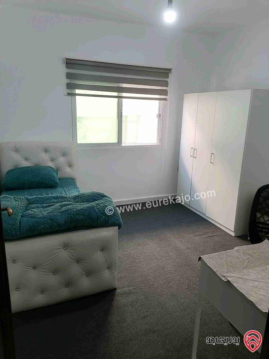 شقق مفروشة للايجار في اربد شارع الجامعة 