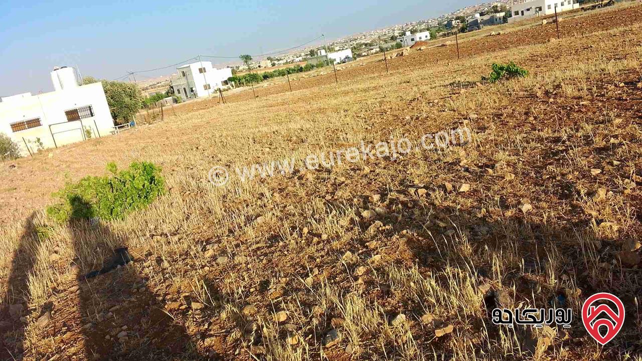 قطعتين أرض مساحة كل قطعة 750م للبيع في المفرق - بلعما
