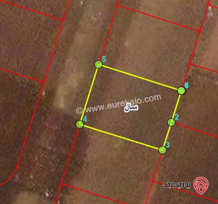 ارض 347م للبيع في اربد - من اراضي سال ضمن حوض نويديس