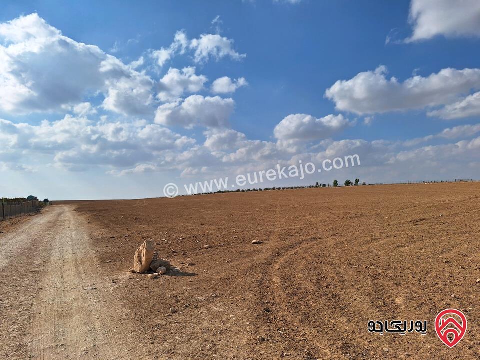 قطعة ارض زراعية مساحة 12 دونم و 690م للبيع في مادبا - منطقة فلحة أراضي ذيبان