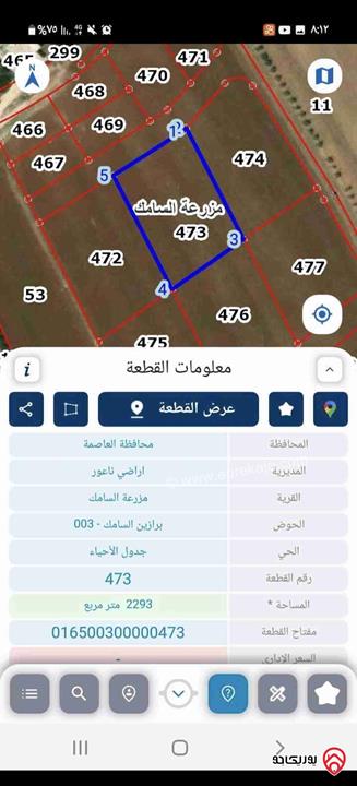 ارض مساحة 2 دونم و 293م للبيع في عمان - ناعور السامك 