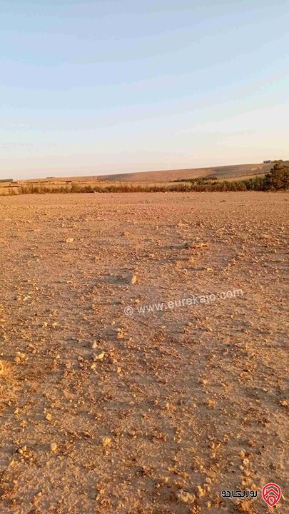 أرض مساحة 10 دونم للبيع في عمان - الموقر قرب المطار 