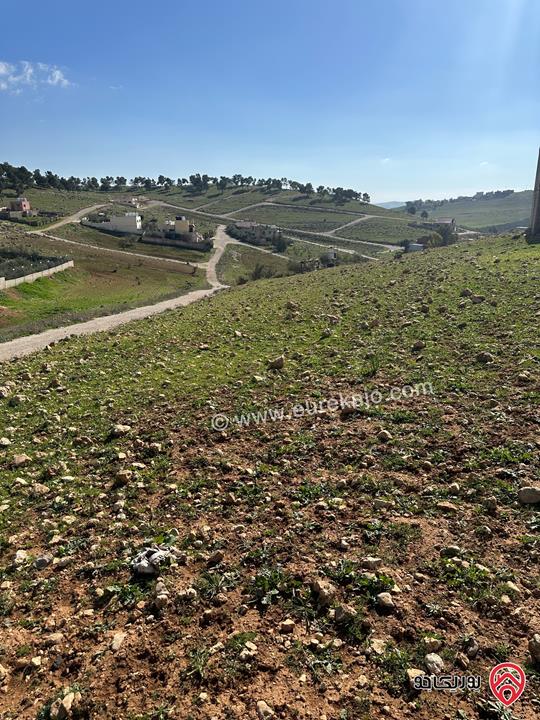 ارض مساحة 625م للبيع بمنطقة بلعما اسكان عمون خلف مسجد بر الوالدين ذات اطلاله رائعه اهزه للبناء محاطه بفلل