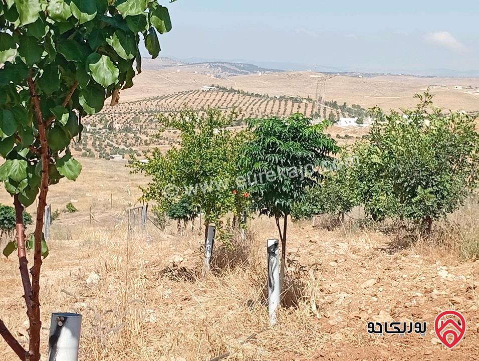 مزرعة مساحة الأرض 3 دونم و 400م بإطلالة للبيع في المفرق - بلعما