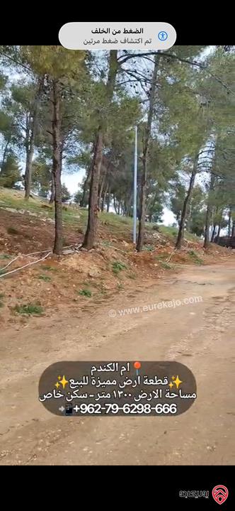 قطعة أرض مساحة 1300م للبيع في عمان - ام الكندم قرب مدارس الشويفات بأطلالة خلابة سكن خاص 