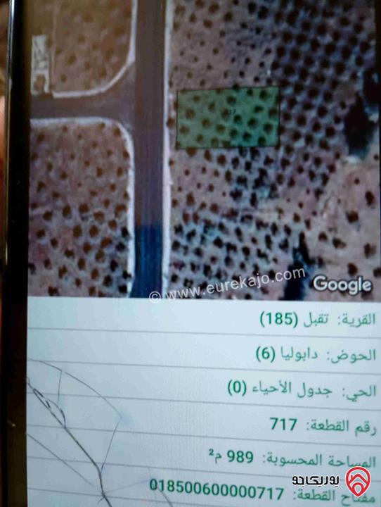 قطعة أرض مساحة 989م للبيع في اربد - تقبل دابوليا في منطقة جميلة وهادئة ومشجرة زيتون وتقع عل شارعين كل شارع 20م عرضه 