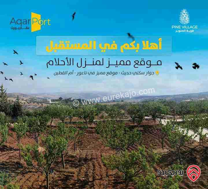 ارض مميزة مساحة 750م للبيع في عمان- ناعور العال والروضة
