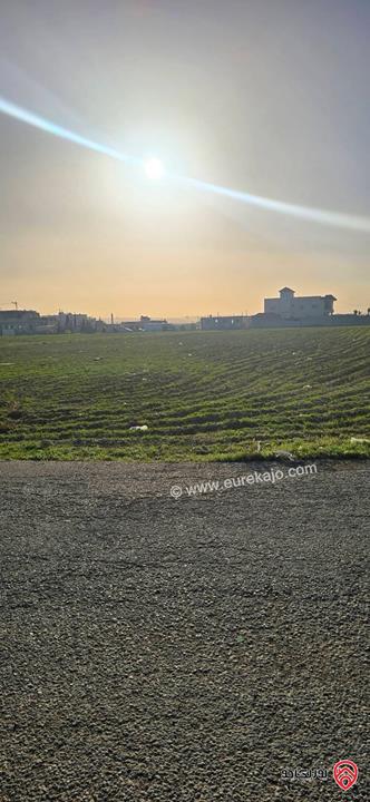 قطعة مميزة مساحة 1 دونم و 170م للبيع في اربد - من اراضي الرمثا مقابل ترخيص الرمثا شرق الحديقة 