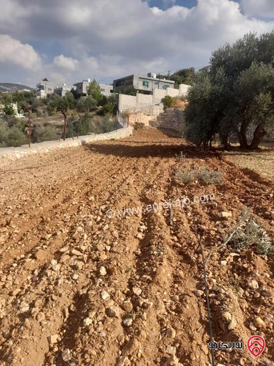 مزرعة مساحة الأرض 5 دونم و 200م للبيع في عجلون - عنجرة