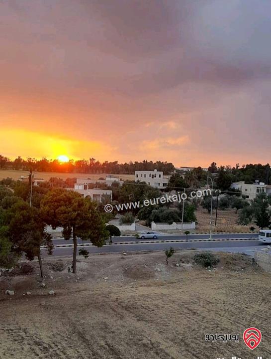 شقة ديلوكس مفروشة للايجار بالقرب من الجامعة الالمانية