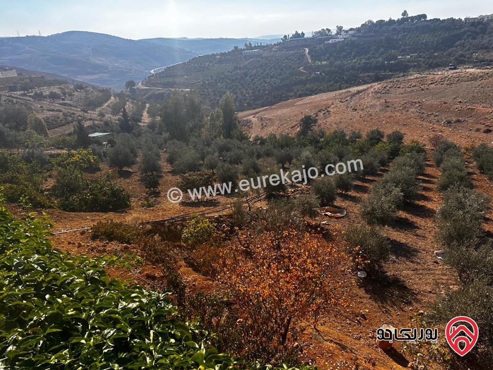 مزرعة فيها فيلا عدد 2 مساحة كل فيلا 300م على أرض 14 دونم للبيع في جرش