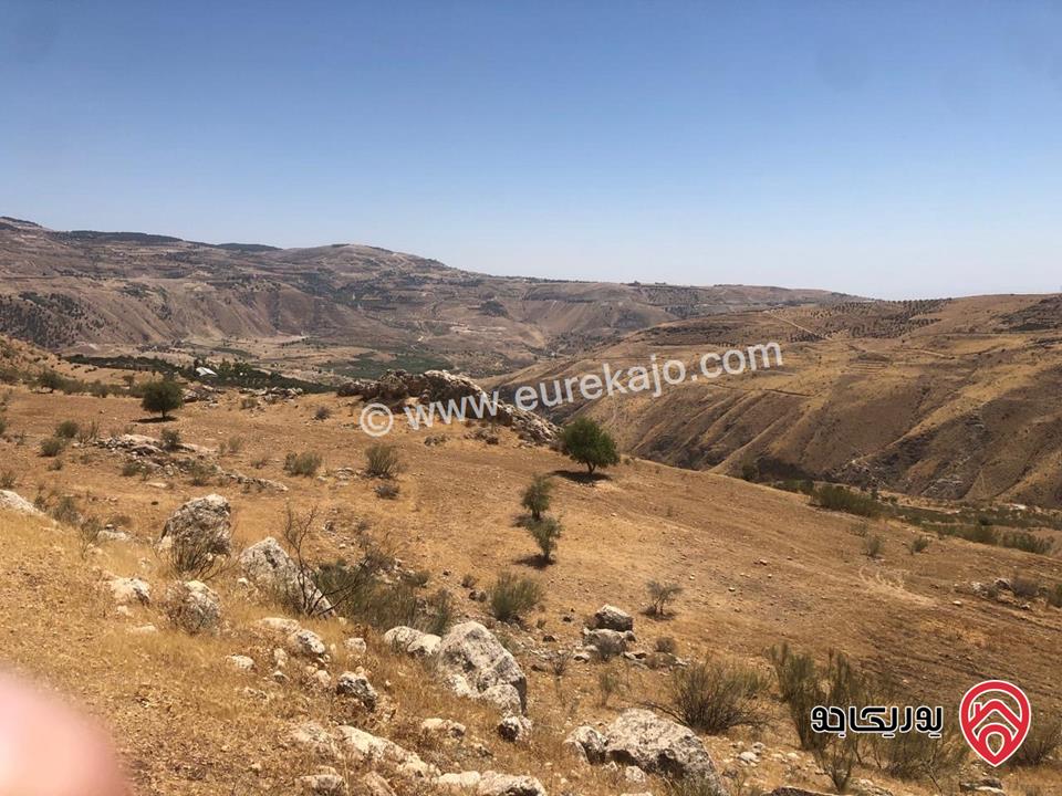 ارض مميزة مساحة 10 دونم للبيع في عمان - البحاث 