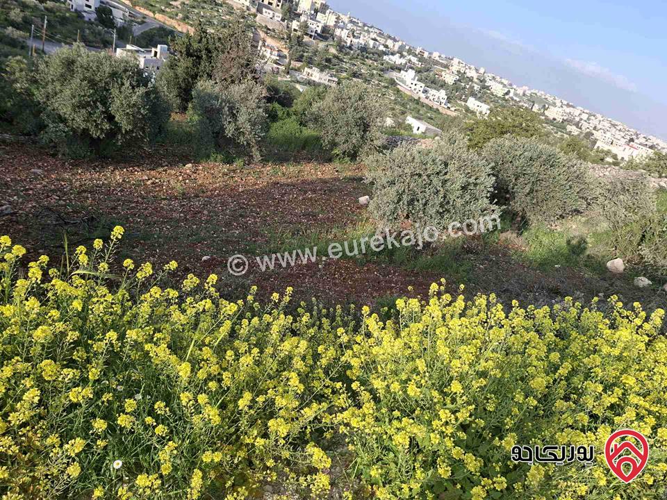 قطعة أرض مساحة 1 دونم للبيع في السلط - سوادة الشمالي