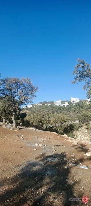 أرض مساحة 650متر للبيع في عمان - ابو السوس أسكان المهندسين