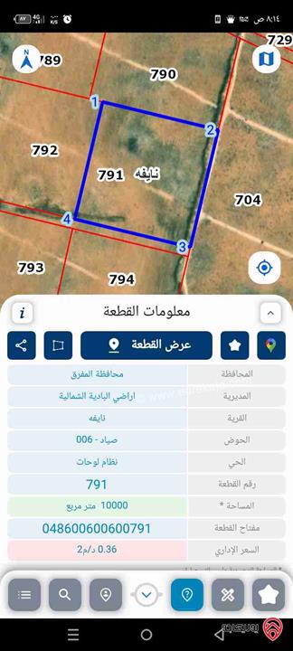 قطعة ارض مساحة 10 دونم للبيع في المفرق أراضي البادية الشمالية قرية نايفه