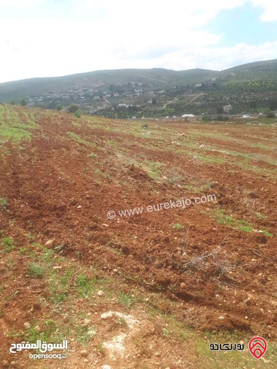 أرض مساحة 10 دونم و 494م للبيع في المفرق - دحل