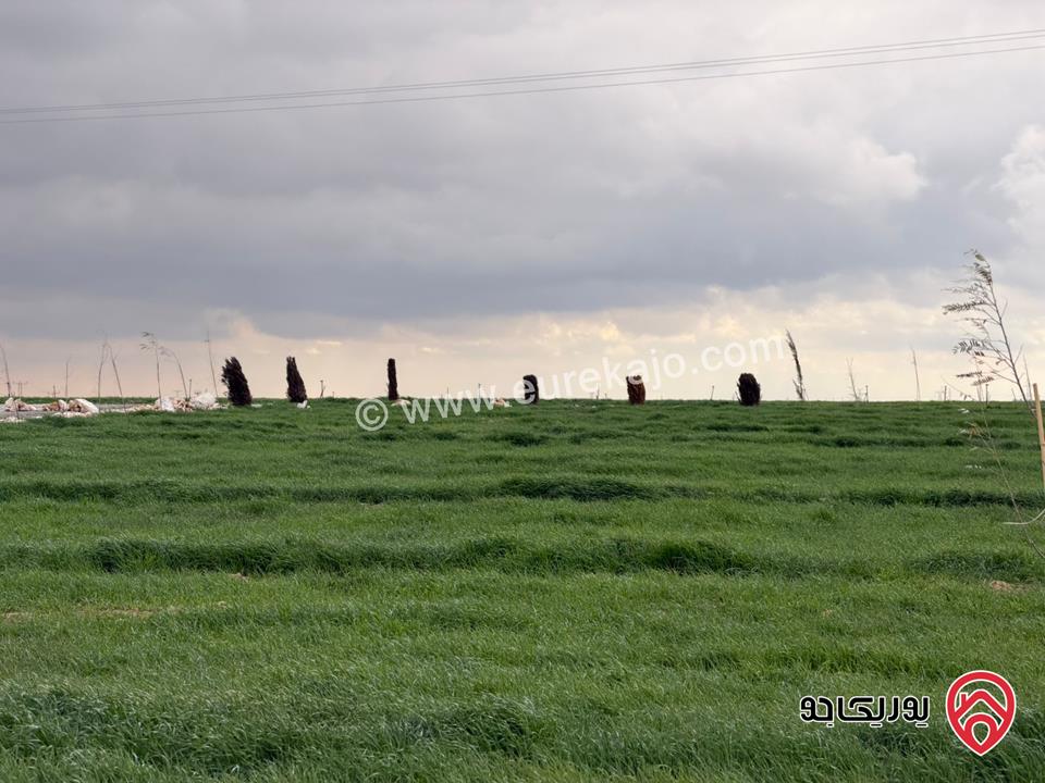 اراضي سكنية مساحة 1 دونم و 700م للبيع في عمان - مقابل مطار الملكة علياء من المالك مباشرة 