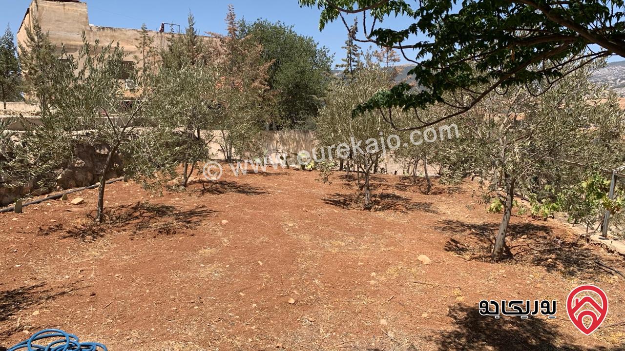 مزرعة مساحة الأرض 2 دونم للبيع بدون منزل في جرش حي الجبارات