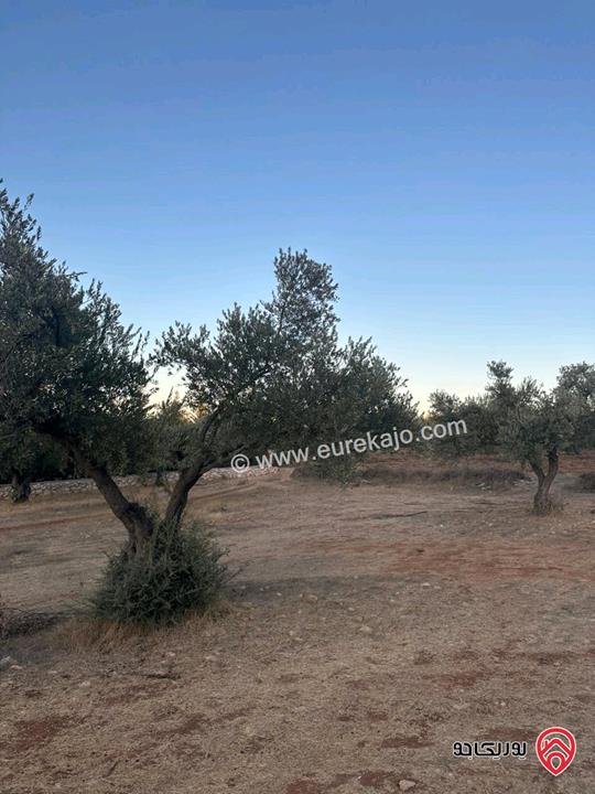 قطعة ارض مساحة 1720م للبيع في اجمل مناطق السلط زي منطقة حيوية وجميلة جدا مزراع وفلل فقط قريبة من كل الخدمات 