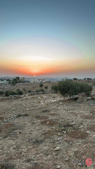 قطعة أرض مساحة 6 دونم للبيع من أراضي جنوب عمان - دليلة الحمايده