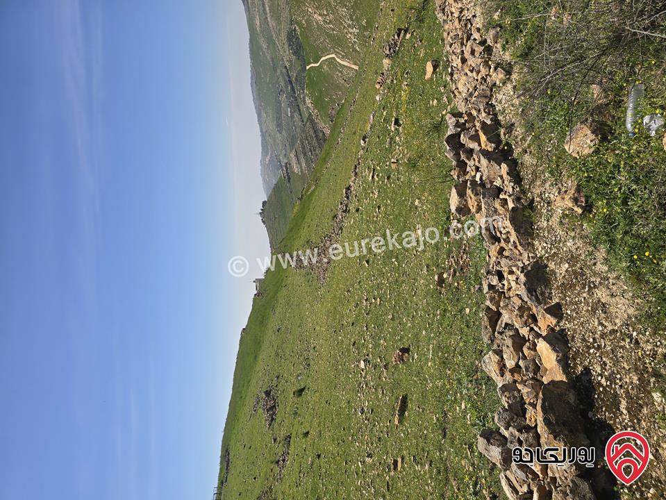 ارض مساحة 5 دونم و 24م للبيع في السلط - أبو طاره