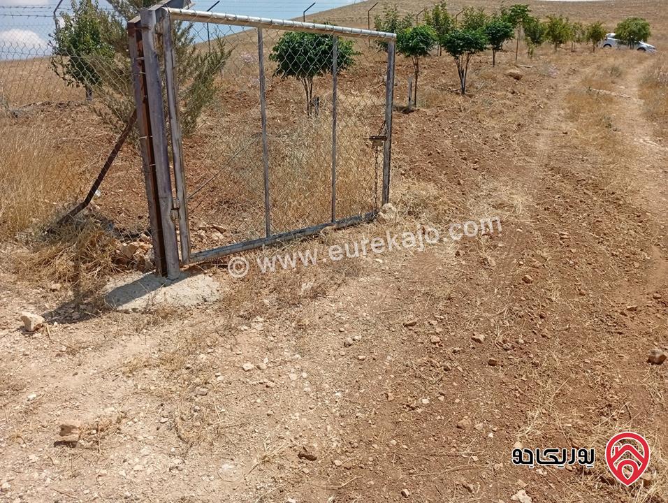 مزرعة مساحة الأرض 3 دونم و 400م بإطلالة للبيع في المفرق - بلعما
