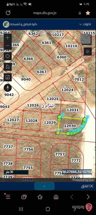 قطع أراضي عدد ثلاثة كل نمرة مساحة 500 متر واحدة تجاري واثنتين تنظيم سكني للبيع في الزرقاء - البتراوي الجنوبي