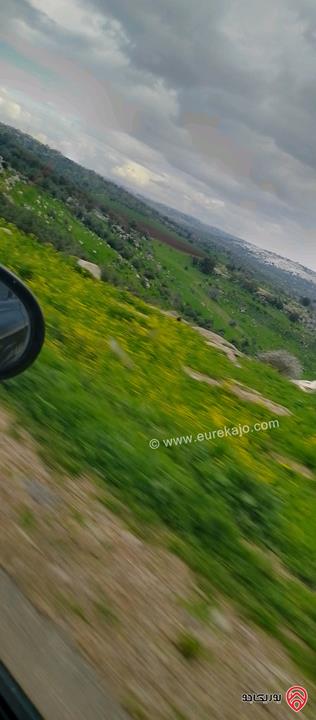 قطعة أرض مساحة 8650م للبيع في اربد - الكورة دير ابي سعيد 