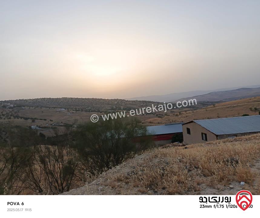 أرض مساحة 14 دونم للبيع في الزرقاء - صروت