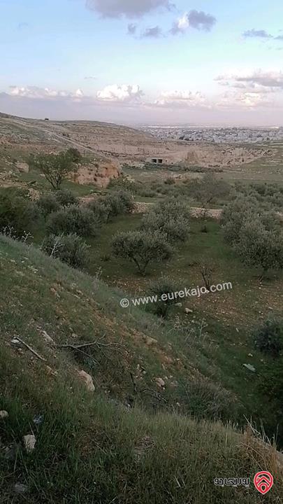 قطعة ارض مساحة 5 دونم للبيع في اربد - الحصن