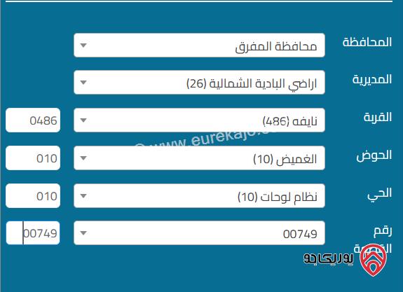 ارض مساحة 10 دونم للبيع في المفرق أراضي البادية الشمالية نايفة من المالك مباشرة بسعر 17000 دينار 