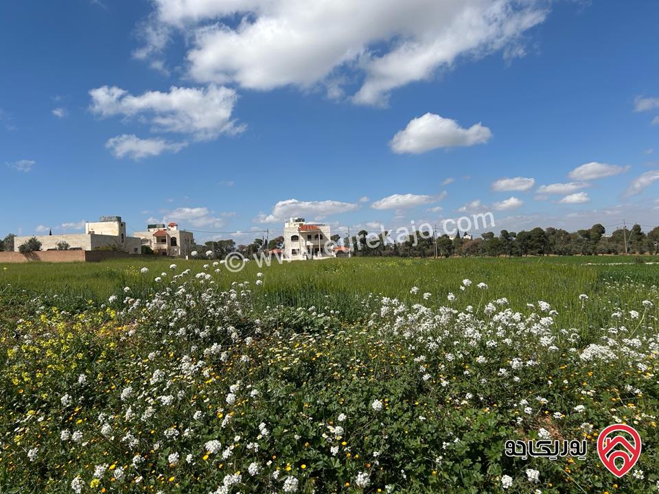 قطعة ارض مساحة 706م للبيع في عمان - منجا حوض جيعة العليق 