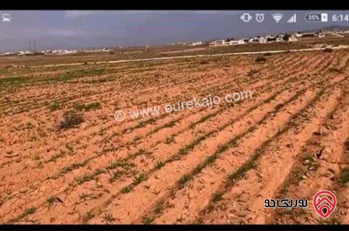 أرض مساحة 15 دونم و 529م للبيع في المفرق - أراضي البادية الشمالية منطقة قاسم