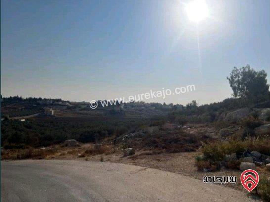 قطع اراضي مميزة جدا مساحة 500م للبيع في عمان - ناعور 