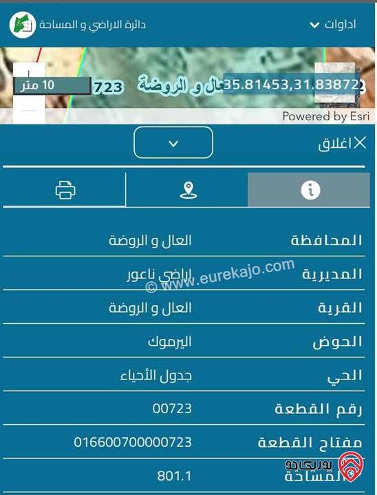 ارض مساحة 801م للبيع في عمان - ناعور - الروضة و العال