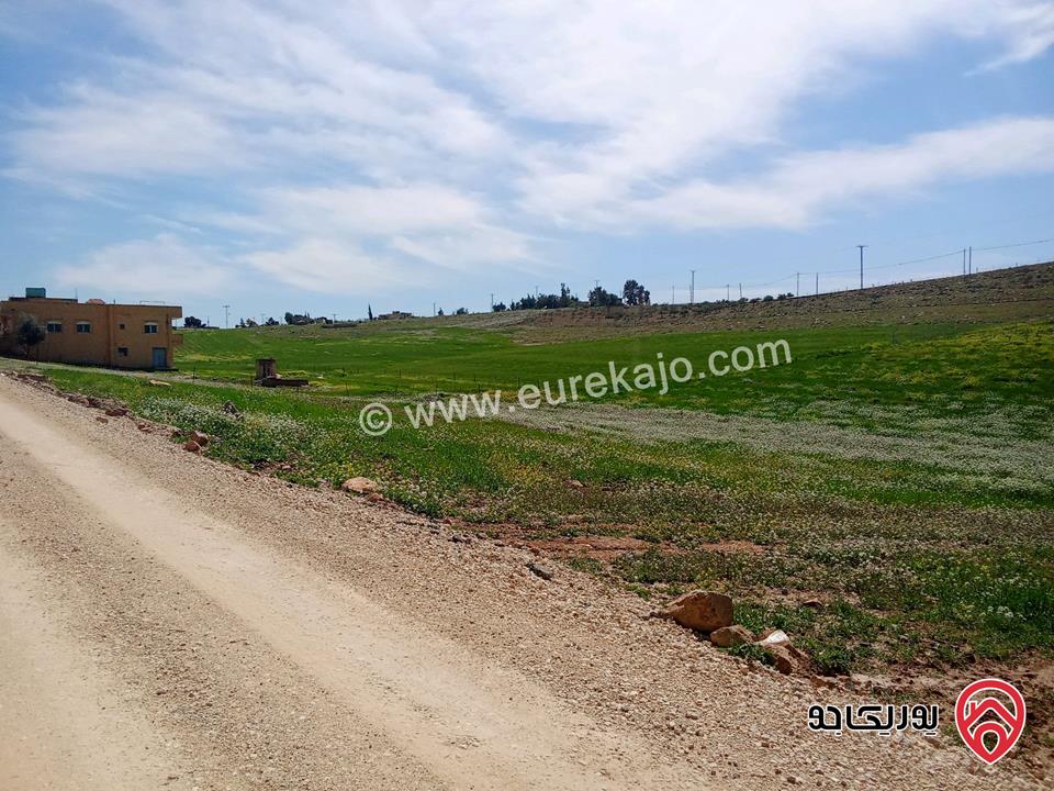 أرض مساحة 5 دونم و 500م للبيع في مادبا قرب الجامعة الامريكية