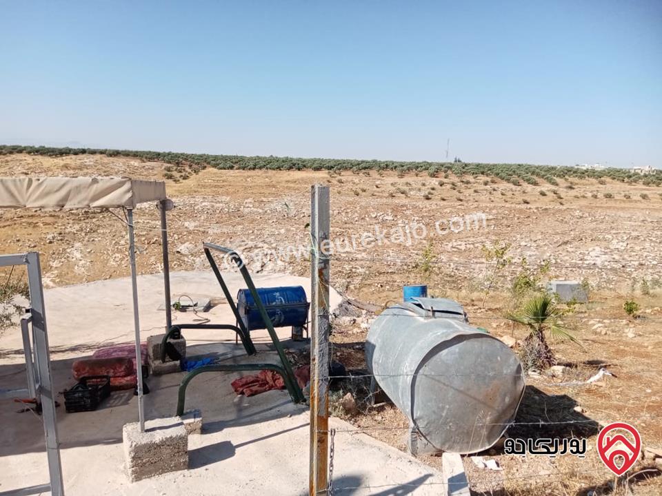 مزرعة مساحة 8700م للبيع في اربد بني كنانه منطقة يبلا 