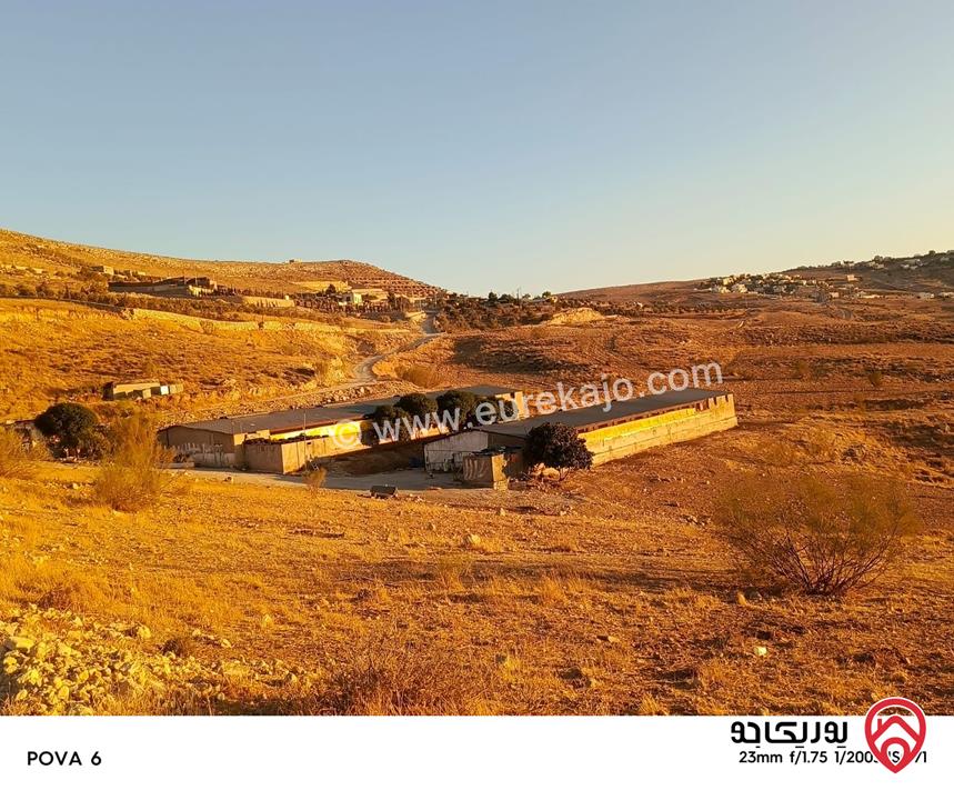 أرض مساحة 14 دونم للبيع في الزرقاء - صروت