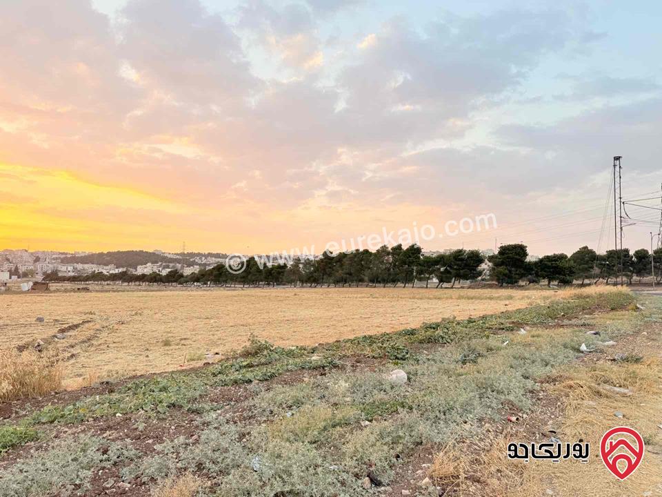 أرض صناعية مساحة 1 دونم و 20م للبيع في عمان - الجويدة