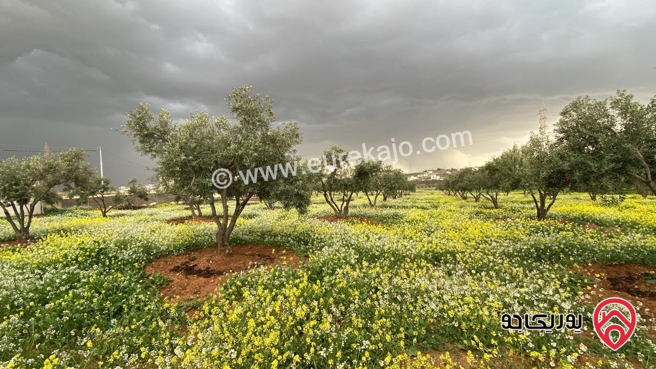 أرض مساحة 4 دونم و 370م للبيع في عمان - قرية سالم 