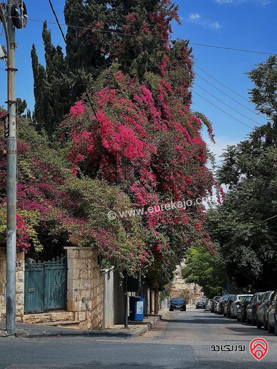 استديو مفروش للايجار في عمان - جبل عمان شارع الرينبو