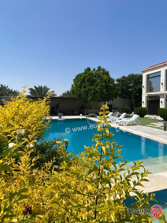مزرعة Palm Paradise Farm للايجار اليومي في البحر الميت