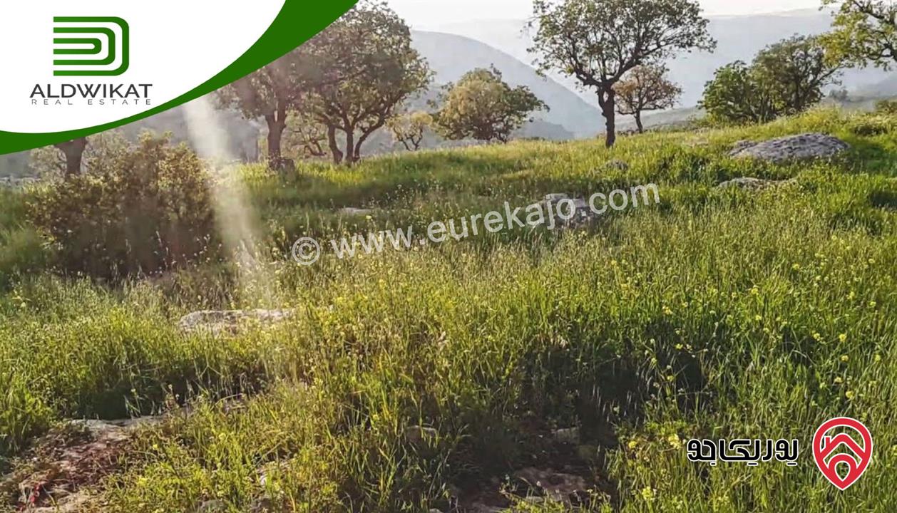 أرض للبيع في عمان - ناعور المساحة 975م موقع واطلالة