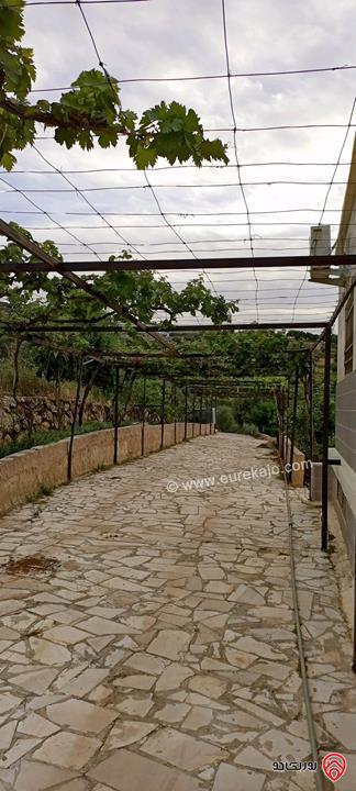 مزرعة زيتون مساحة الأرض 8 دونم و 588م و البناء مساحة 100م للبيع في السلط