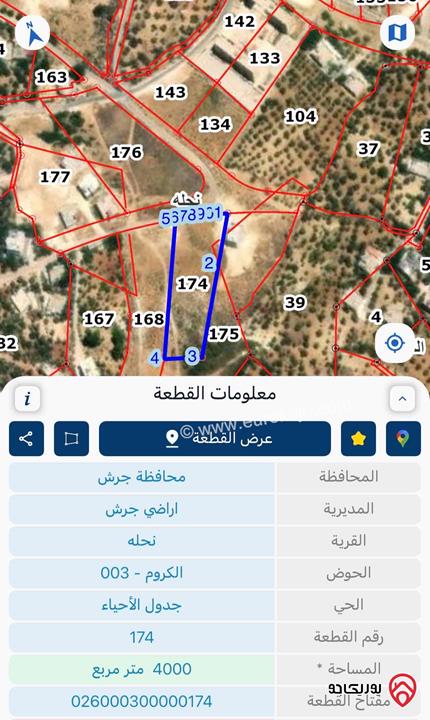 ارض مساحة 4 دونم للبيع في قرية نحله محافظة جرش 