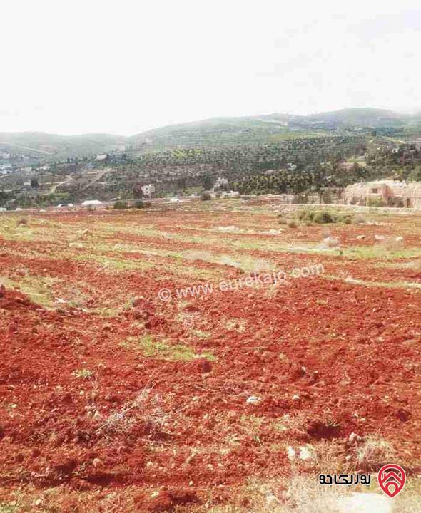 أرض مساحة 10 دونم و 494م للبيع في المفرق - دحل