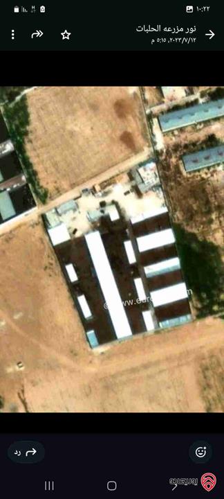 مزرعة أبقار مساحة 12 دونم و 345م مجهزة بالكامل للبيع في الزرقاء الحلابات