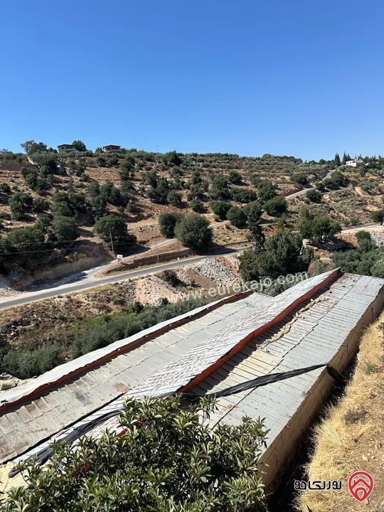مزرعة مساحة 11 دونم و 750م للبيع في السلط ام جوزة 