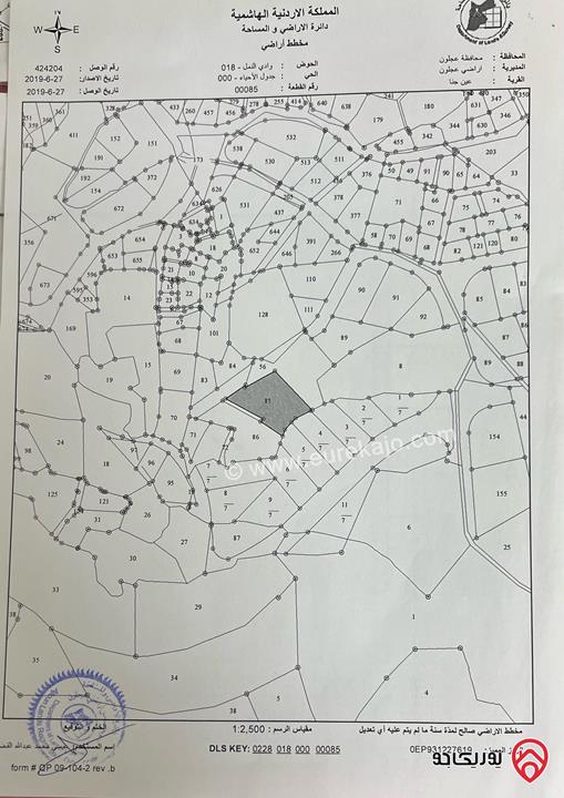 أرض مساحة 2 دونم و 197م للبيع في عجلون - عين جنا بإطلالة مباشرة على قلعة عجلون